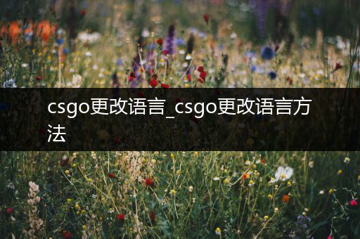 csgo更改语言_csgo更改语言方法