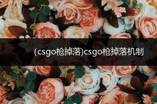 （csgo枪掉落)csgo枪掉落机制