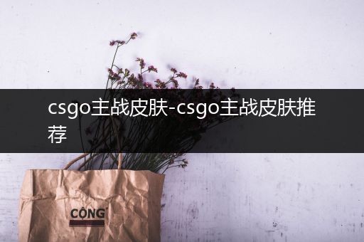 csgo主战皮肤-csgo主战皮肤推荐