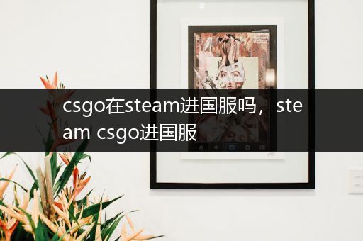 csgo在steam进国服吗，steam csgo进国服