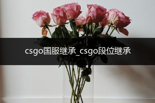 csgo国服继承_csgo段位继承