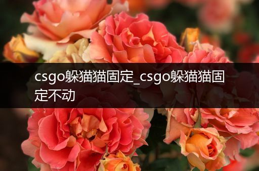 csgo躲猫猫固定_csgo躲猫猫固定不动