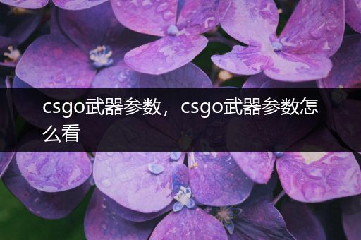 csgo武器参数，csgo武器参数怎么看