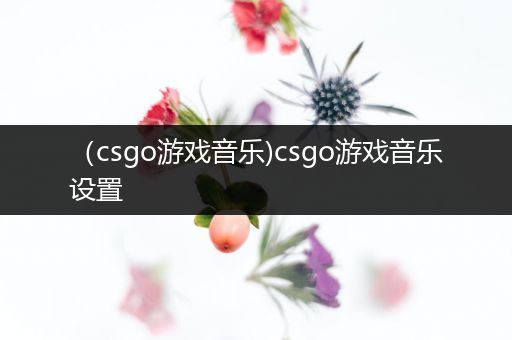 （csgo游戏音乐)csgo游戏音乐设置