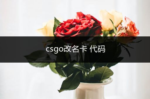 csgo改名卡 代码