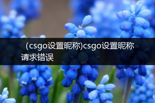 （csgo设置昵称)csgo设置昵称请求错误