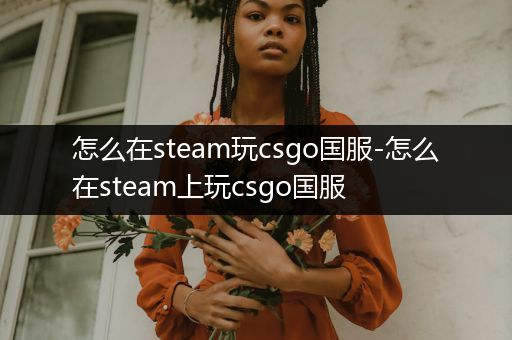 怎么在steam玩csgo国服-怎么在steam上玩csgo国服