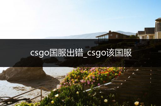 csgo国服出错_csgo该国服