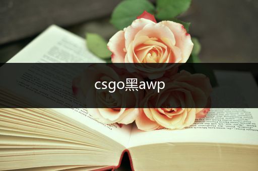 csgo黑awp