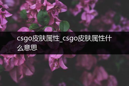 csgo皮肤属性_csgo皮肤属性什么意思