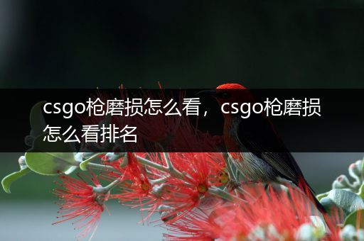 csgo枪磨损怎么看，csgo枪磨损怎么看排名