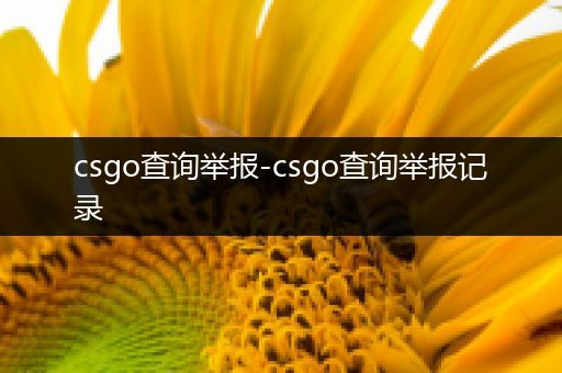 csgo查询举报-csgo查询举报记录