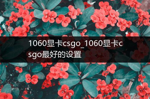 1060显卡csgo_1060显卡csgo最好的设置