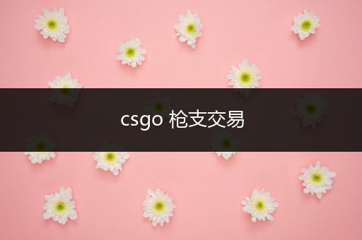 csgo 枪支交易