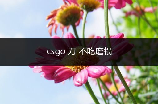 csgo 刀 不吃磨损