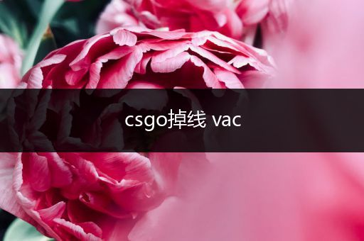 csgo掉线 vac