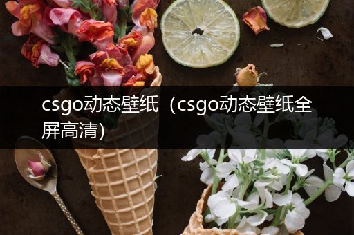 csgo动态壁纸（csgo动态壁纸全屏高清）