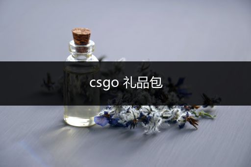 csgo 礼品包