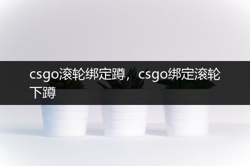 csgo滚轮绑定蹲，csgo绑定滚轮下蹲