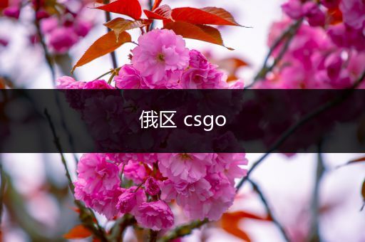 俄区 csgo