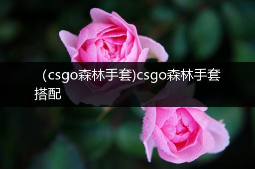 （csgo森林手套)csgo森林手套搭配