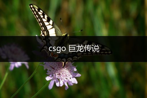 csgo 巨龙传说