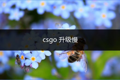 csgo 升级慢