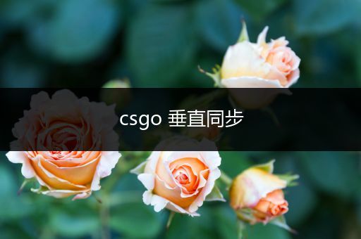 csgo 垂直同步