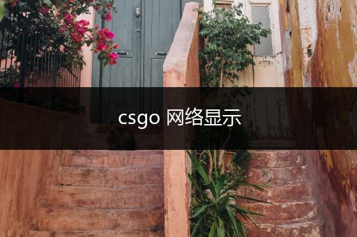 csgo 网络显示