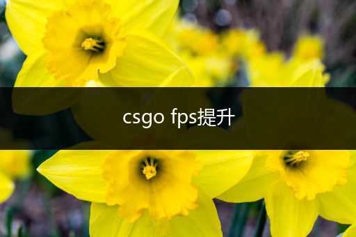 csgo fps提升