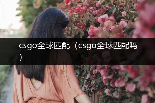 csgo全球匹配（csgo全球匹配吗）