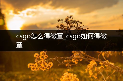 csgo怎么得徽章_csgo如何得徽章