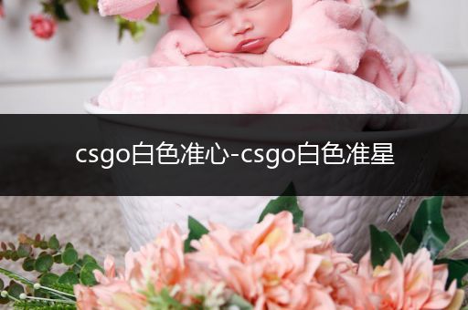 csgo白色准心-csgo白色准星