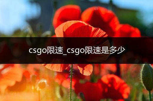 csgo限速_csgo限速是多少