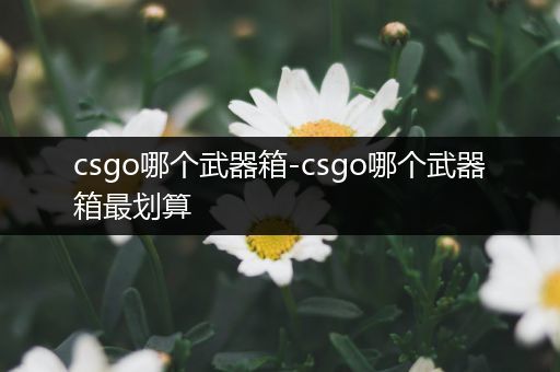 csgo哪个武器箱-csgo哪个武器箱最划算