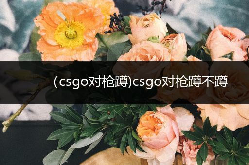 （csgo对枪蹲)csgo对枪蹲不蹲