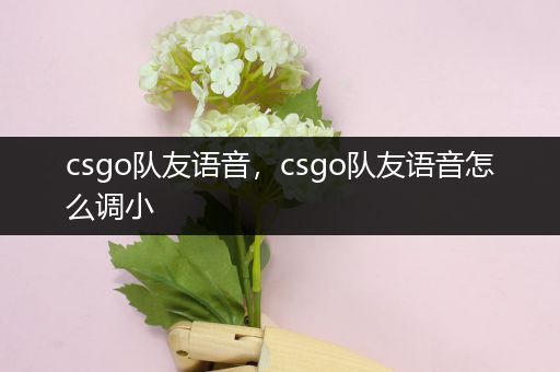 csgo队友语音，csgo队友语音怎么调小