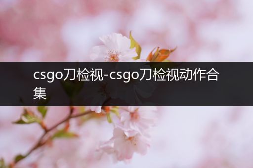 csgo刀检视-csgo刀检视动作合集