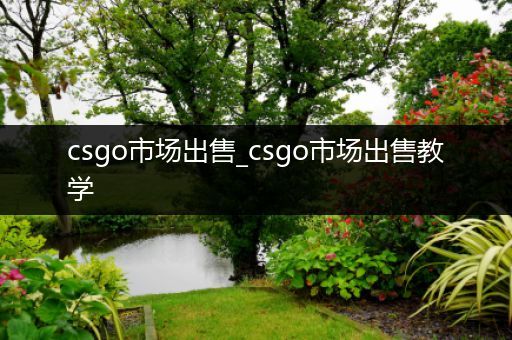 csgo市场出售_csgo市场出售教学