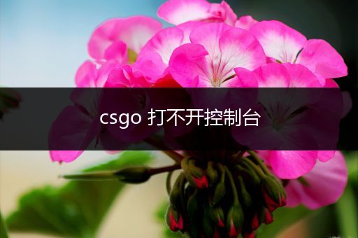 csgo 打不开控制台