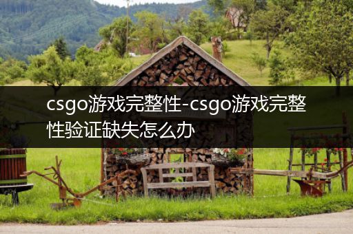 csgo游戏完整性-csgo游戏完整性验证缺失怎么办