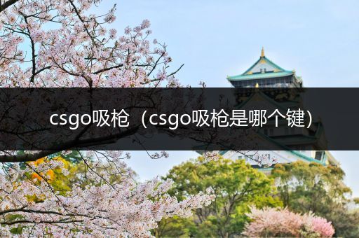 csgo吸枪（csgo吸枪是哪个键）